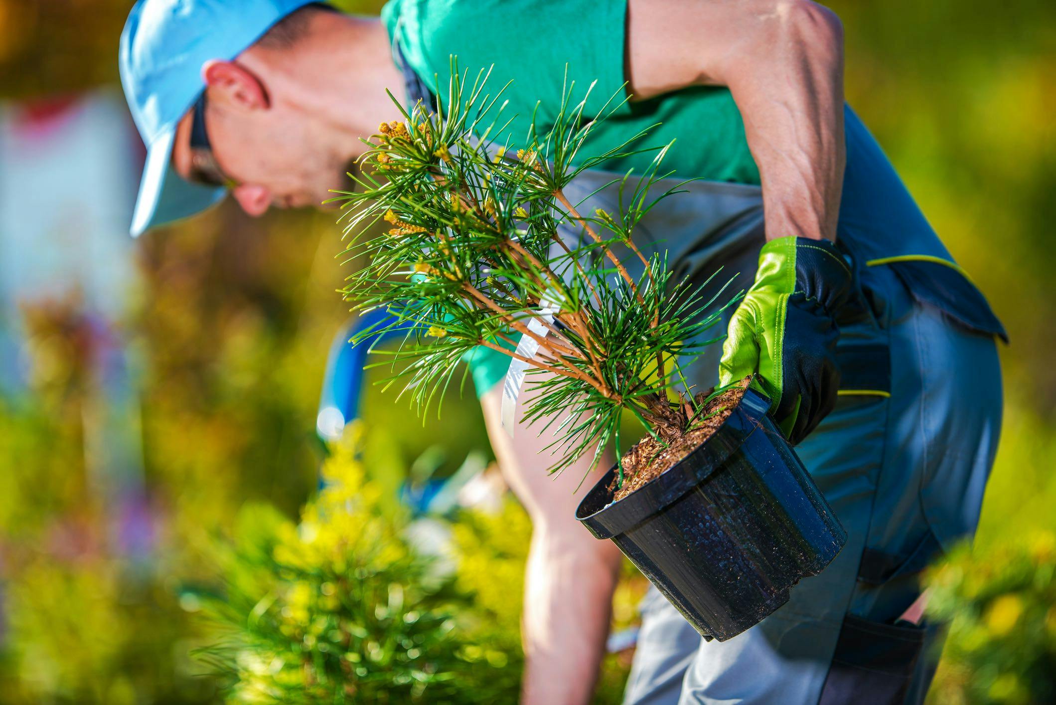 How To Start a Landscaping or Lawn Care Business